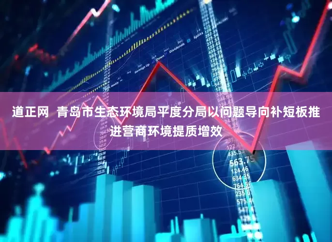 道正网  青岛市生态环境局平度分局以问题导向补短板推进营商环境提质增效