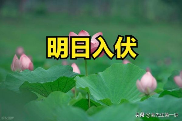 旺润配资 明日入伏，有空没空，记得：1不洗、2不坐、3不出、4要晒、5要吃