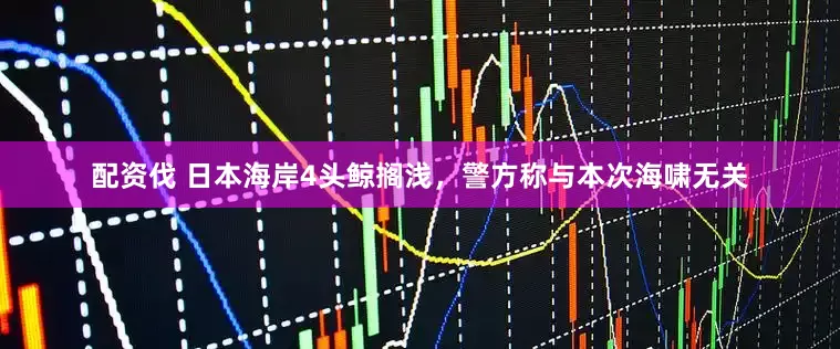 配资伐 日本海岸4头鲸搁浅，警方称与本次海啸无关