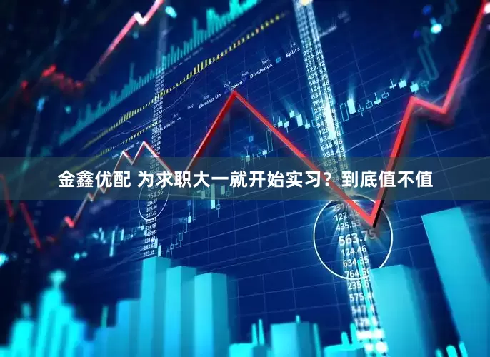 金鑫优配 为求职大一就开始实习？到底值不值