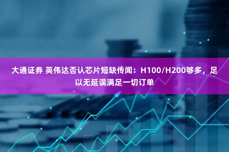 大通证券 英伟达否认芯片短缺传闻：H100/H200够多，足以无延误满足一切订单