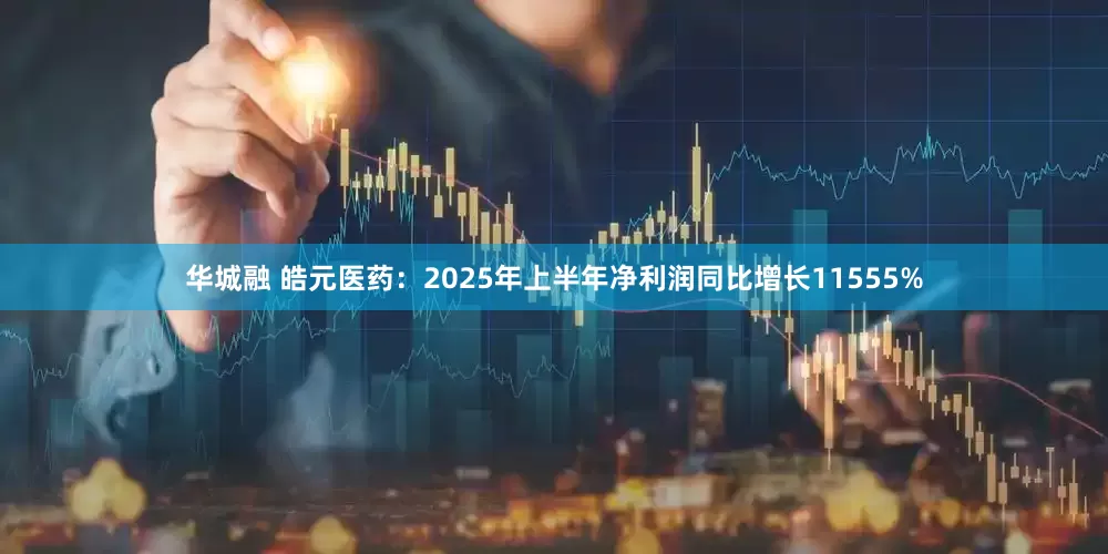 华城融 皓元医药：2025年上半年净利润同比增长11555%